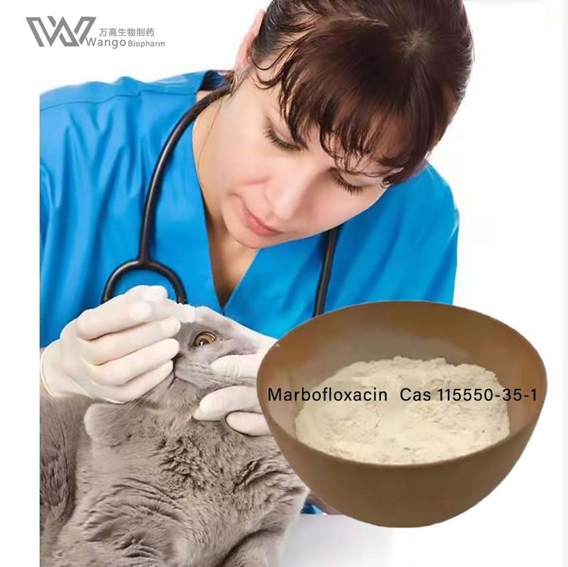 Marbofloxacin Powder For Veterinary Medicine In Dogs And Cats With Urinary Tract Infections Cas 115550-35-1