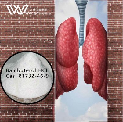 Агенты HCL 99% Bambuterol анти- астматические 81732-46-9 для обработки бронхиальной астмы