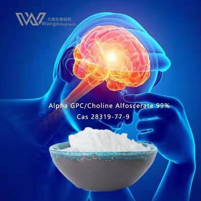 холин альфы GPC 50% 80%, порошок 28319-77-9 Alfoscerate холина