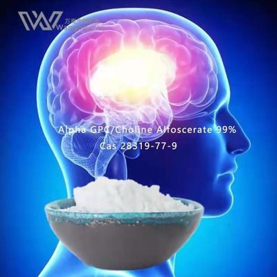 Порошки Nootropics HPLC оптовые, ацетилхолин 28319-77-9 Gpc альфы